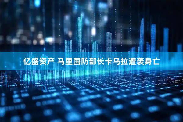 亿盛资产 马里国防部长卡马拉遭袭身亡